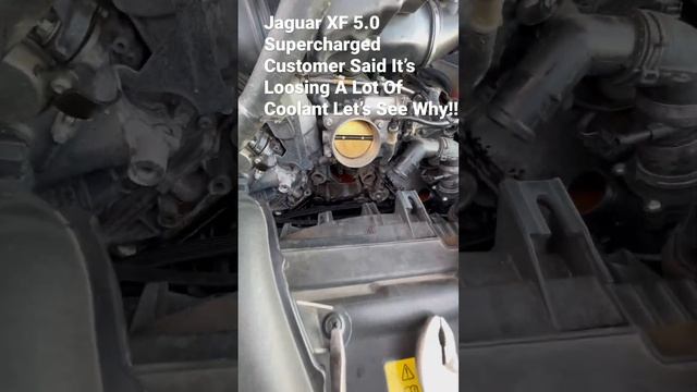 Jaguar XF 5.0 Supercharged Customer States He’s Loosing A Lot Of Coolant LETS SEE WHY!! смотреть онлайн
