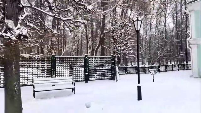 Зимнее Кусково