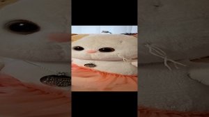 Увлечения моих Басиков