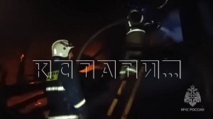 Жительница Богоявления погибла, пытаясь спасти свиней