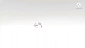 Xilam In Windows Mobile Cartoon Logo 2021