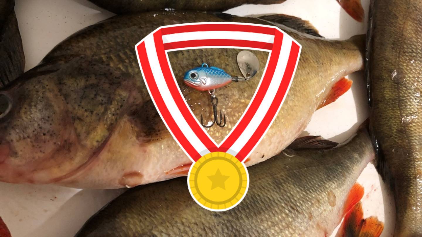 Уловистая модель тейл-спиннера которая ловит ВСЁ!