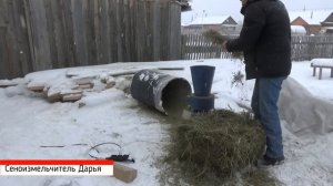 Сеноизмельчитель Дарья измельчаем сено (видео от клиентов)