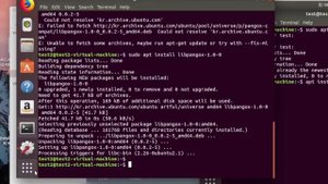 Cisco Anyconnect Linux Ubuntu installation