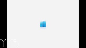 Windows 11 RED ZONE テクニック