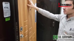 Дверь Гарда 8