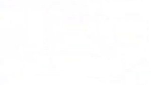 WINDOWS VISTA DEAD ZONE REMIX