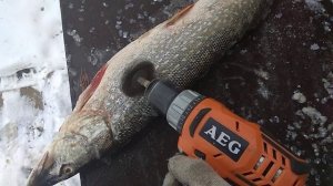 Мой вариант чистки рыбы