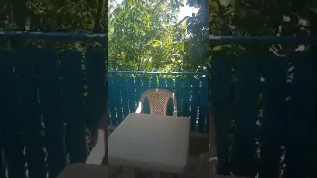 Черное море! Благовещенская! Терраса малого гостевого дома. переулок Лазурный 3