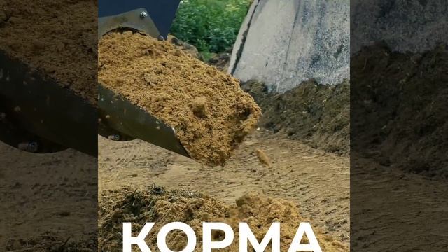 Ковш кормораздаточный для раздачи корма, зерна, и других сыпучих лакомств для животных.