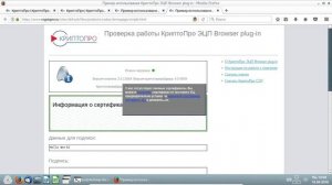 Госуслуги и криптопро в AlterOS Desktop Lite