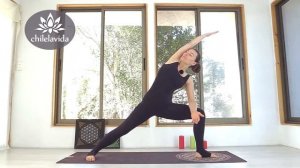 РАСТЯЖКА НА ВСЕ ТЕЛО День 1 _ РАСТЯЖКА СПИНЫ _ ВЫТЯЖЕНИЕ и Упражнения на растяжку _ Йога chilelavida