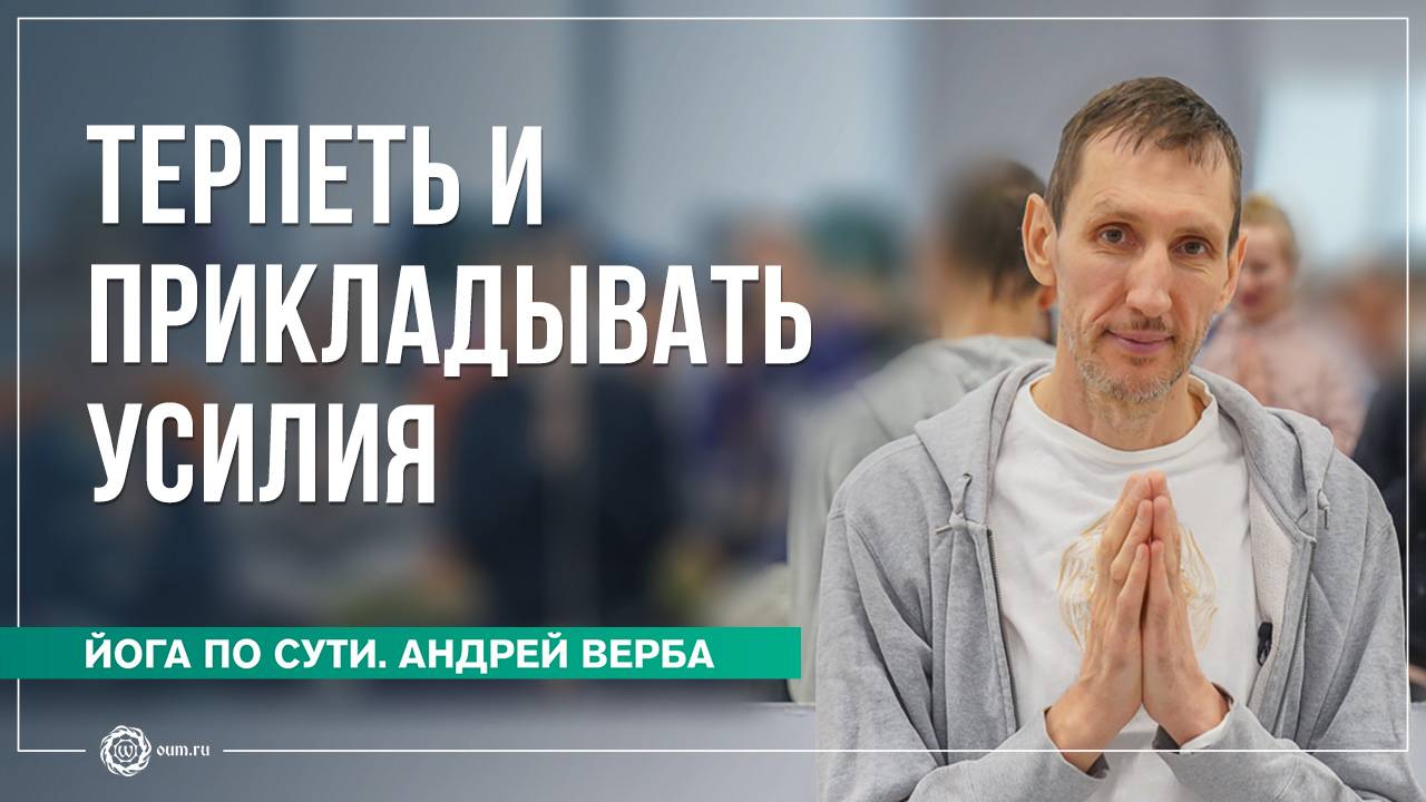 Терпеть и прикладывать усилия. Андрей Верба