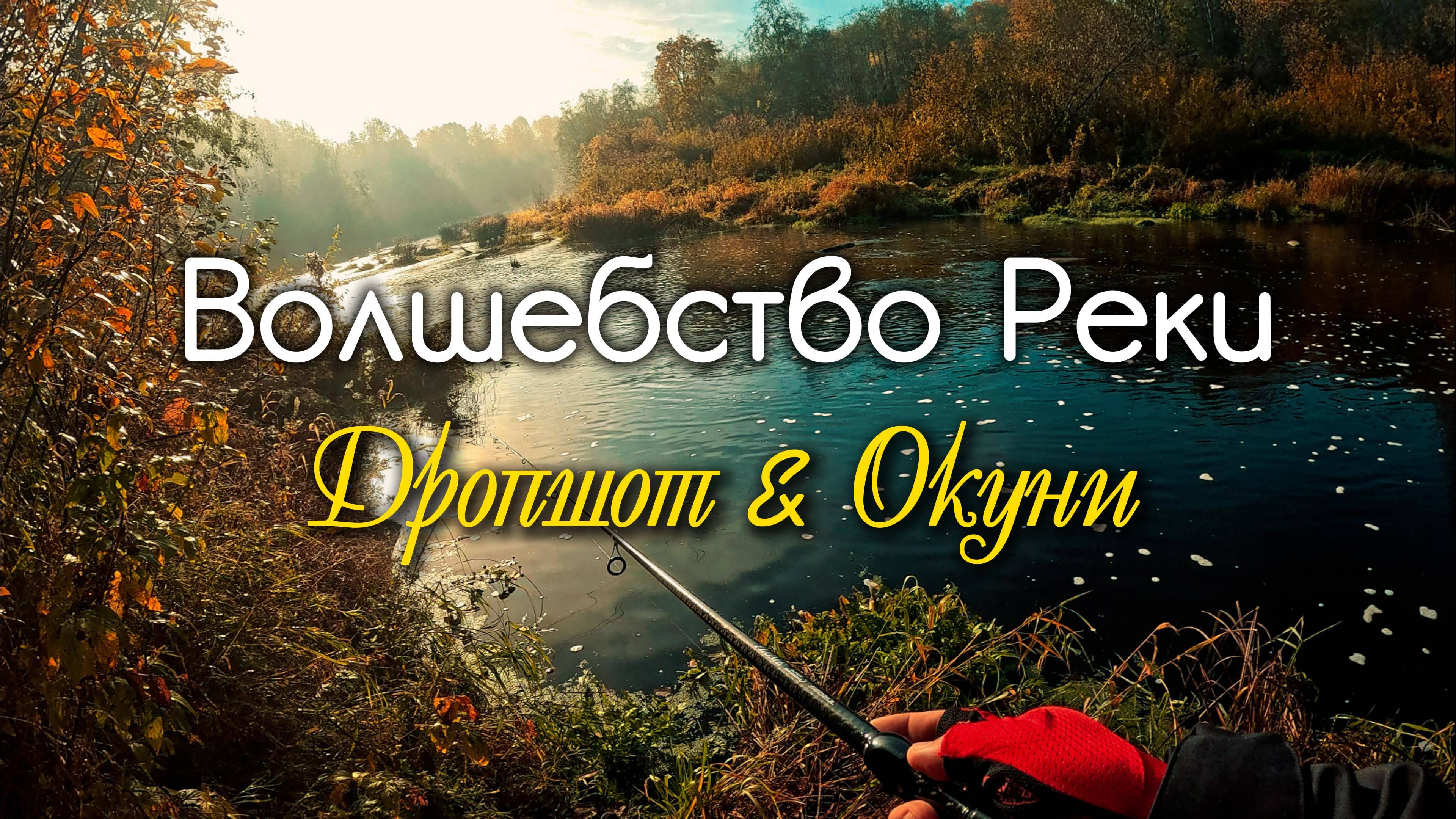 Первый морозец и ОКУНИ. Рыбалка на берегах реки Тосна #дропшот #микроджиг #рыбалка #окунь #fishing
