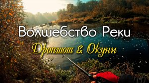 Первый морозец и ОКУНИ. Рыбалка на берегах реки Тосна #дропшот #микроджиг #рыбалка #окунь #fishing