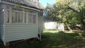 4 октября 24г. дача_с.Орудьево, г.Дмитров