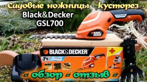 Садовые ножницы - кусторез, Black&Decker GSL700 обзор - отзыв.