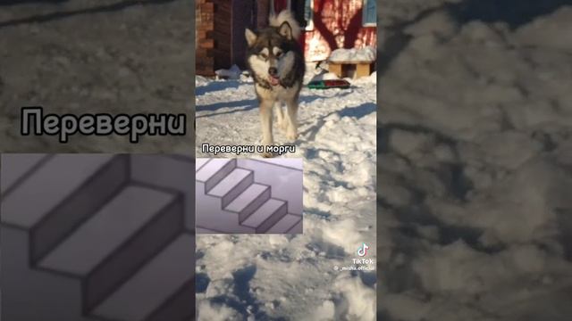 сломает мозг смотреть онлайн