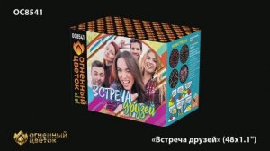 ОС8541 Встреча друзей (1,1"х 48)