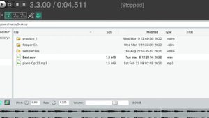 How to import audio files in Reaper following the tempo