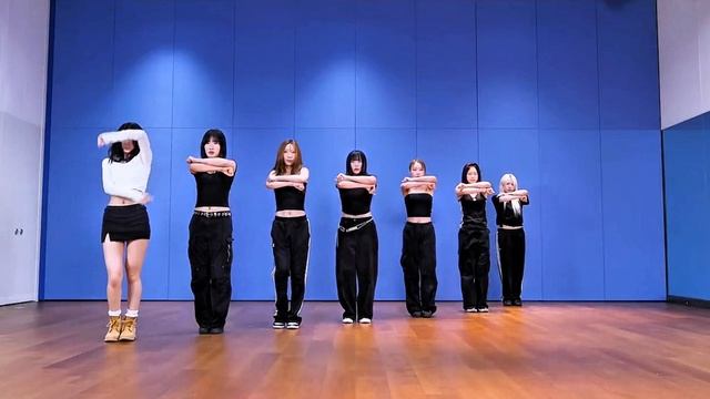 Tzuyu - Run Away dance practice mirrored