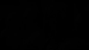 Песнь об Элтуреле / Врата Балдура: Нихождение в Авернус / ДнД