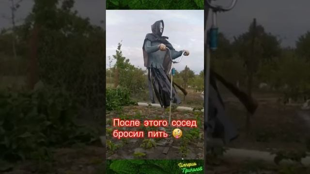 Хорошее Пугало для дачи