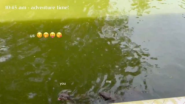 Field Trip To The Zoo! [3.12.2022] смотреть онлайн