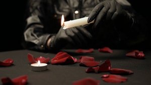 7675213-hd_1920_1080_25fps