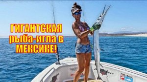 ГИГАНТСКАЯ рыба-игла в МЕКСИКЕ!