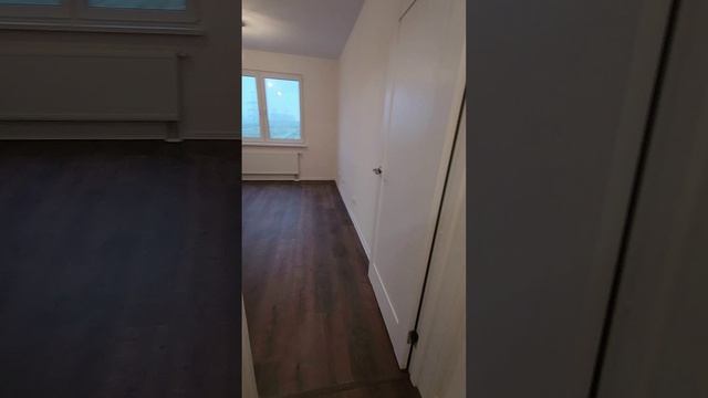 Студия на Муринской дороге 31 к 3