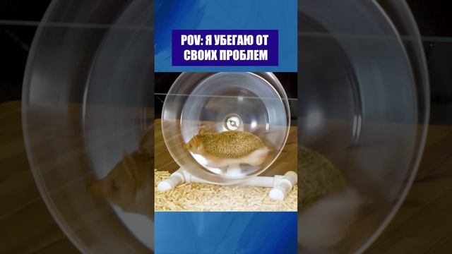 Как я убегаю от своих проблем )