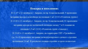 Оперативная обстановка на территории Амурского муниципального района с 7 по 13 октября 2024 года