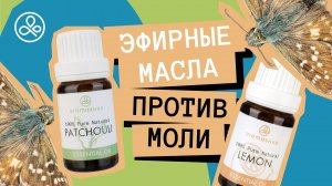 Эфирные масла от моли в шкафу и не только