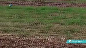 В «Пригородном» проведут служебное расследование по факту выброшенного картофеля
