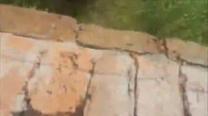 ШКОЛЬНИКИ ПРОБРАЛИСЬ В ЗАБРОШКУ! 24 ЧАСА