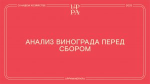 Павел Швец | Анализ винограда перед сбором