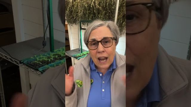 Comment APP and I’ll DM the link to get my garden shop APP! 12noon ET live shopping show from the f смотреть онлайн