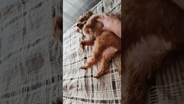 Жесткая борьба! Никто не хотел уступать