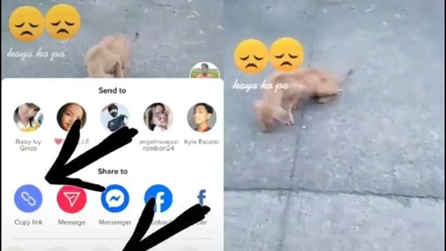 LALAINE смотреть онлайн