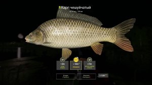 🐟Место для ловил Карпа 4,7 кг, Русская Рыбалка 4, Russian Fishing 4