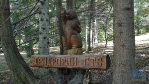 Дендрарий ГТС.