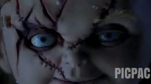 Потомство Чаки