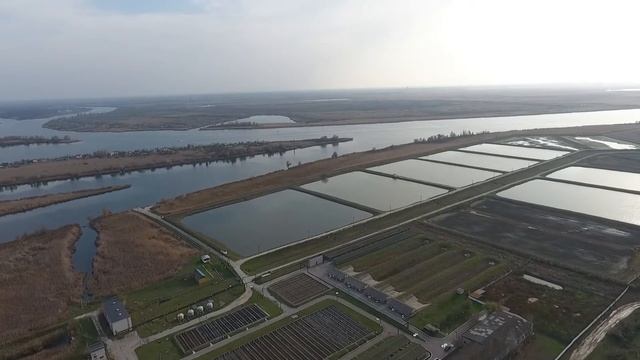 Новокаховский завод частиковых рыб