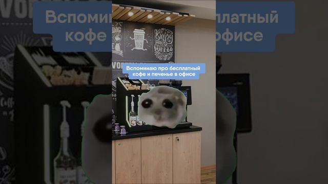 Вечное противостояние   #юмор #мем #хомякмем #работамечты #удаленнаяработа #удаленка #офис #фриланс