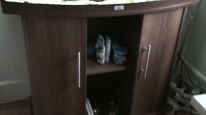 Juwel Vision 180 Aquarium with Jack Dempsey