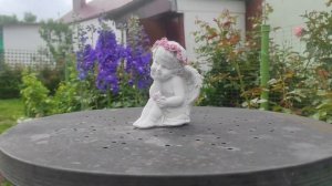 Возвращение в лето: Первое цветение роз | Розарий Ангелочек