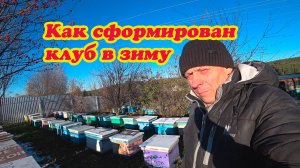 КАК СФОРМИРОВАНЫ КЛУБЫ ПЧЁЛ В ЗИМУ, ОТВЕТ НА КОММЕНТАРИИ.