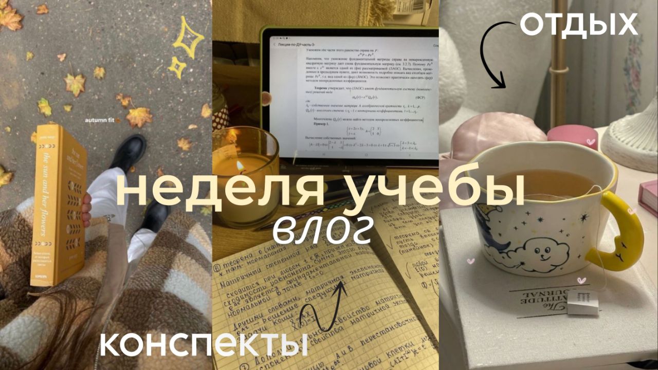 НЕДЕЛЯ УЧЕБЫ study vlog 🍂･:☆ учеба со мной: уроки,конспекты,осенние дни смотреть онлайн