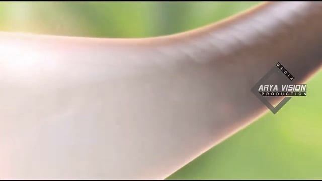 Luxary wash final dari смотреть онлайн